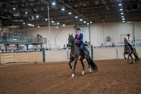 129 - AMERICAN SADDLEBRED 3 Gaited Show Pleasure Open