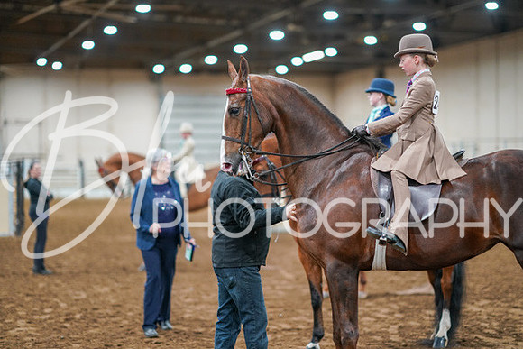 Aurora Show June 8, 2024  - 01605