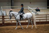 255 Region 17 Arabian Sport Horse Under Saddle ATR Championship - Hunter Type