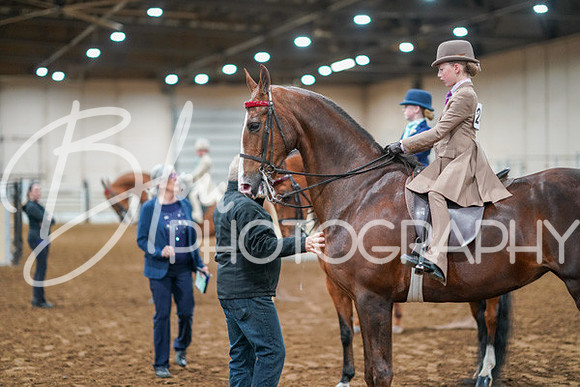 Aurora Show June 8, 2024  - 01606