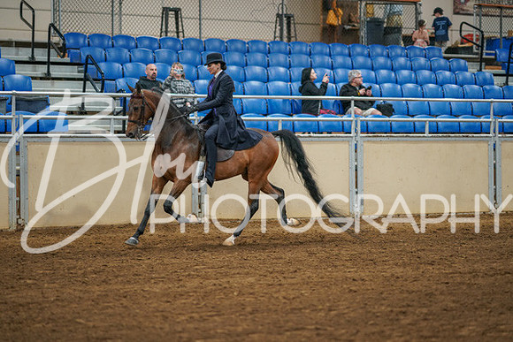 Aurora Show June 8, 2024  - 02561