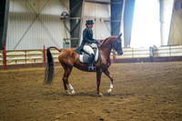 389 Region 17 HA/AA Ranch Horse Rail Pleasure ATR Champonship