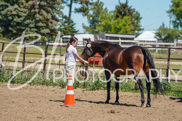 Aurora Show June 6, 2024  - 01612