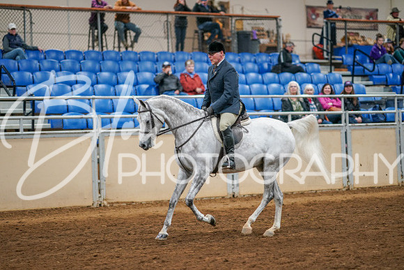 Aurora Show June 8, 2024  - 03366