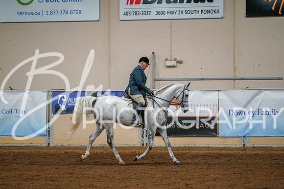 Aurora Show June 8, 2024  - 03388