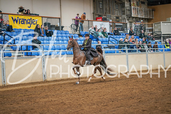 Aurora Show June 8, 2024  - 02846