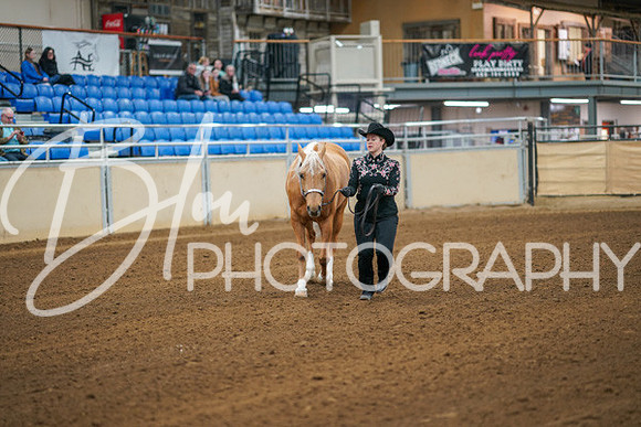 Aurora Show June 8, 2024  - 00159