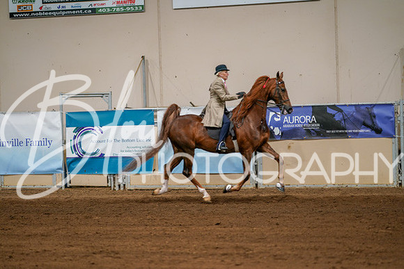 Aurora Show June 8, 2024  - 02966