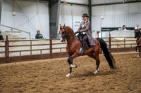 295 Region 17 HA/AA English Pleasure JTR Championship