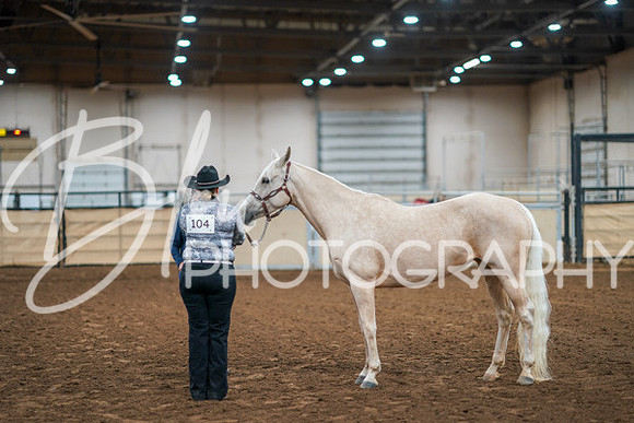 Aurora Show June 8, 2024  - 00433