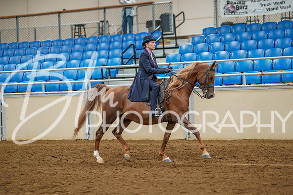 Fall Classic Sept 29, 2024 - 0929