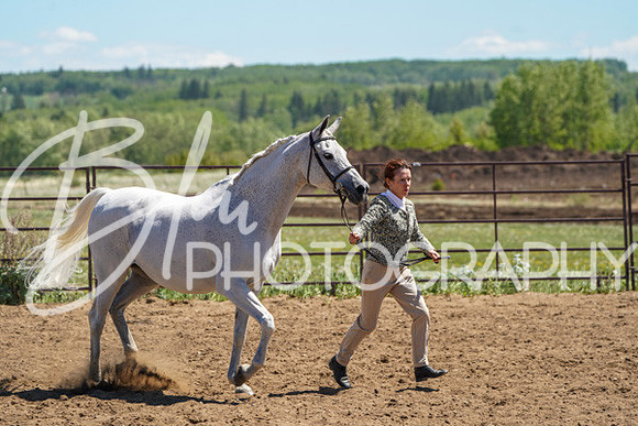 Aurora Show June 6, 2024  - 01583