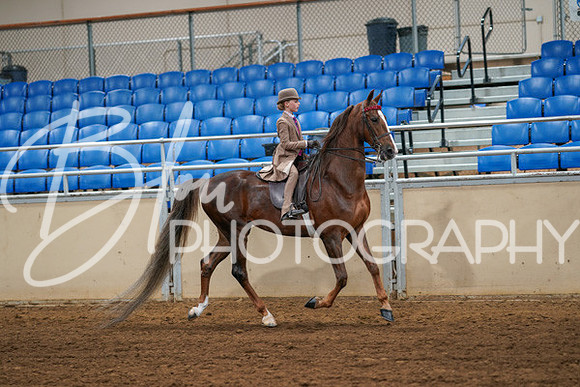 Aurora Show June 6, 2024  - 03894