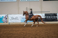 178 - AHA Medal Saddle Seat Equitation JTR
