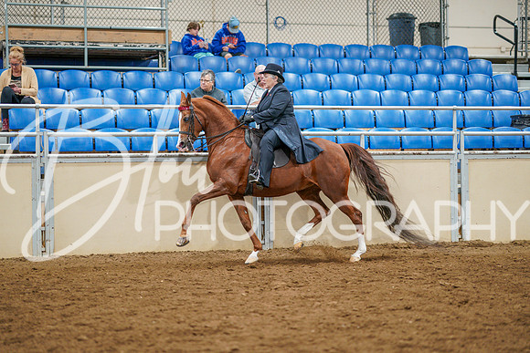 Fall Classic Sept 27, 2024 - 0908
