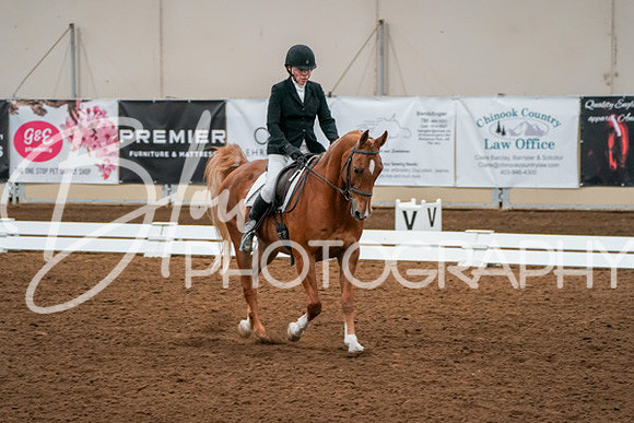 Aurora Show June 6, 2024  - 01038