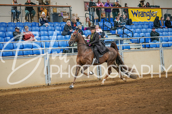 Aurora Show June 8, 2024  - 02824