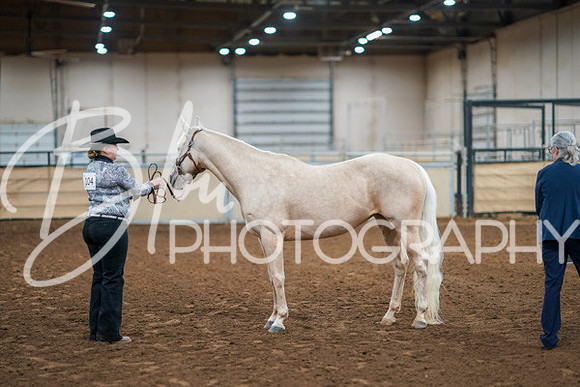 Aurora Show June 8, 2024  - 00426