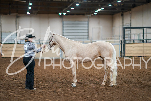 Aurora Show June 8, 2024  - 00427