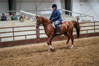 305 Region 17 HA/AA Hunter Pleasure ATR Select Championship