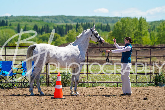 Aurora Show June 6, 2024  - 01493