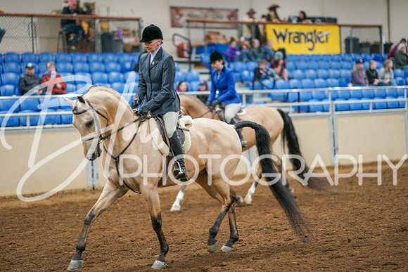 Aurora Show June 8, 2024  - 03432