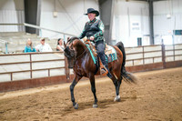 385 Region 17 Arabian Western Pleasure Junior Horse Championship