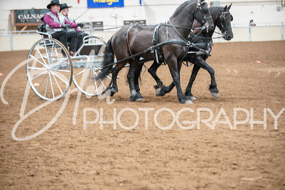 Fall Classic Sept 28, 2024 - 3632