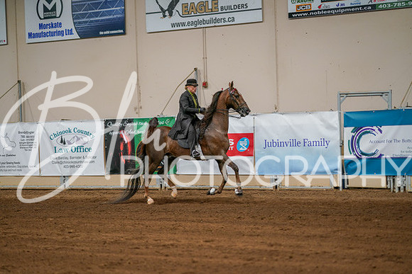 Aurora Show June 8, 2024  - 02967