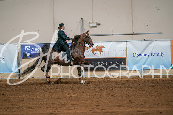 Aurora Show June 8, 2024  - 02952