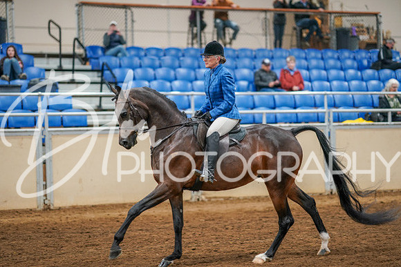 Aurora Show June 8, 2024  - 03373