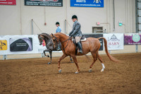 179 - ALL BREED Hunter Pleasure Open