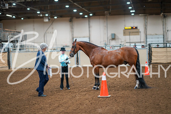 Aurora Show June 8, 2024  - 00378