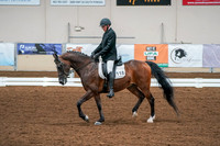 02 - Dressage Session 2  morning