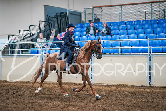 Aurora Show June 8, 2024  - 02112