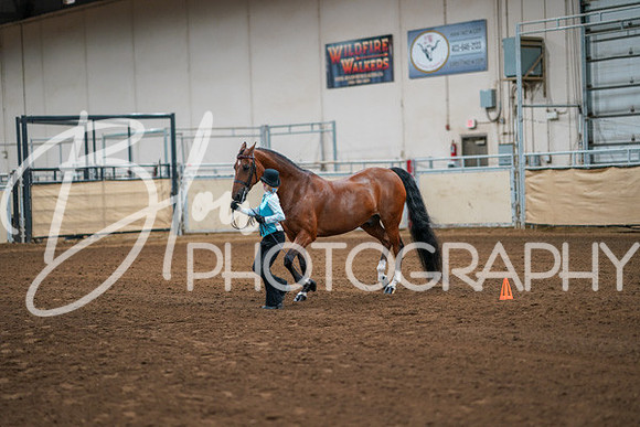 Aurora Show June 8, 2024  - 00366