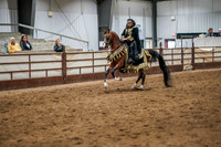 301 Region 17 Arabian Mounted Native Costume Championship