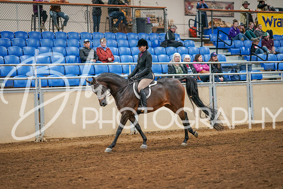 Aurora Show June 8, 2024  - 03360