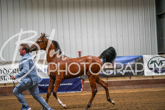 Region 17 July 12, 2025 - 1796