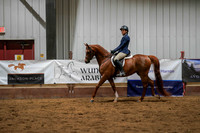 261 Region 17 Select Stallion Futurity Arabian Sport Horse Under Saddle 5 yrs old ATRChampionship