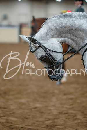 Aurora June 7, 2025 - 3325