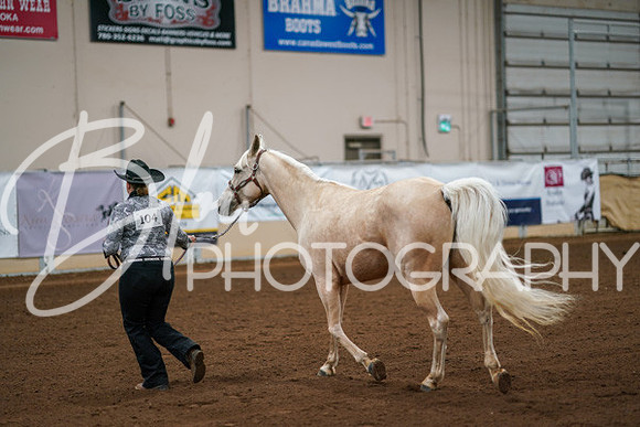 Aurora Show June 8, 2024  - 00441