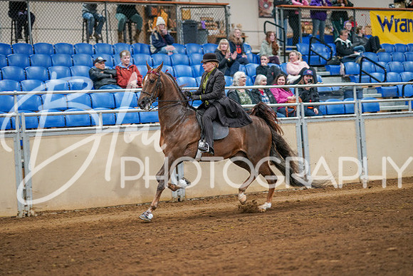 Aurora Show June 8, 2024  - 02851