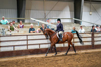 387 Region 17 Arabian Hunter Pleasure Ladies/Gents Championship
