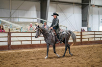 347A Region 17 Arabian Ranch Horse Rail PI Jr. Horse Championship