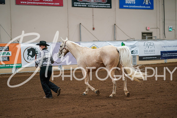 Aurora Show June 8, 2024  - 00445
