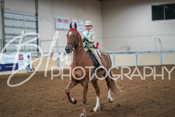 Aurora Show June 8, 2024  - 01635