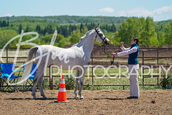 Aurora Show June 6, 2024  - 01495