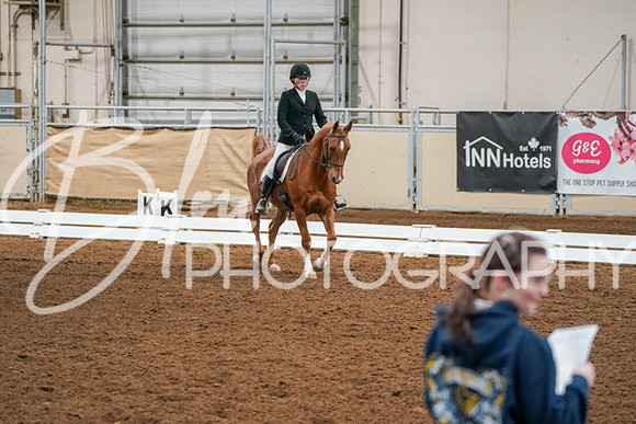 Aurora Show June 6, 2024  - 01035