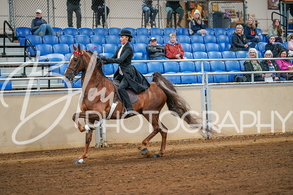 Aurora Show June 8, 2024  - 02844